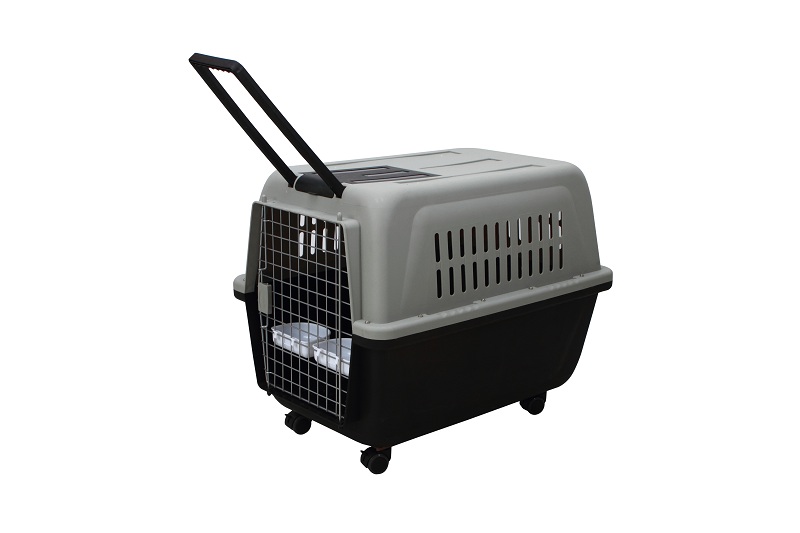 Pet Air Carrier High Quality Eco-Friendly High Strength 4#